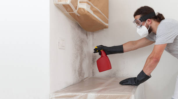Professional Attic Mold Remediation technician working in New Hope, MN