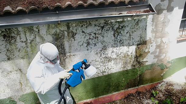 Top rated local Attic Mold Remediation specialists in New Hope, MN